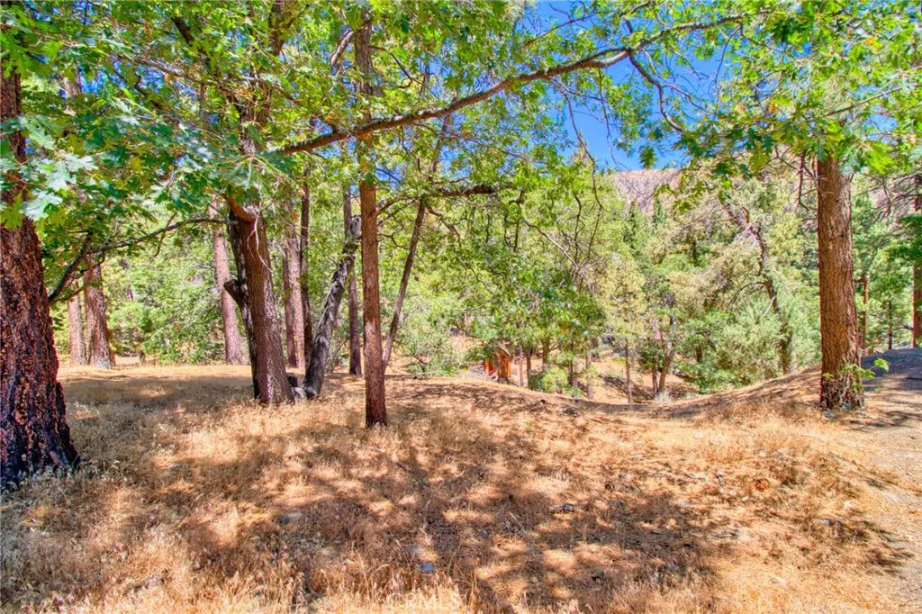 0 Oriole Road Wrightwood, CA 92397 - Photo 5 of 12 a view of a yard with large trees