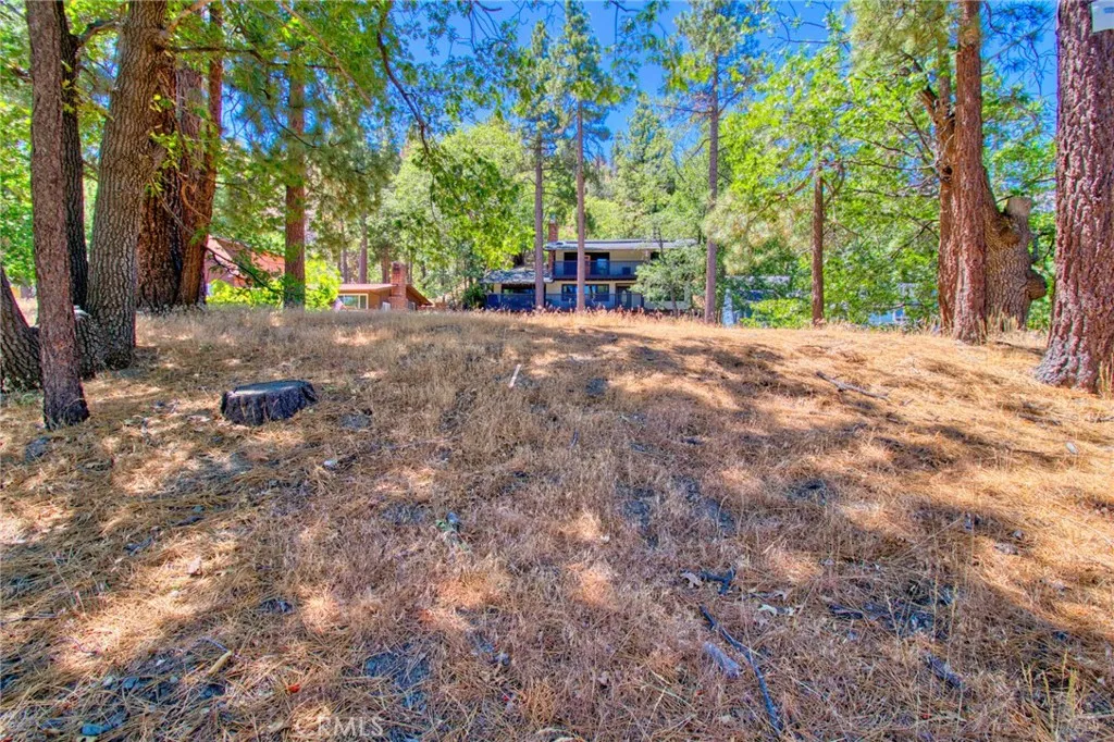 0 Oriole Road Wrightwood, CA 92397 - Photo 7 of 12 a view of outdoor space with street view