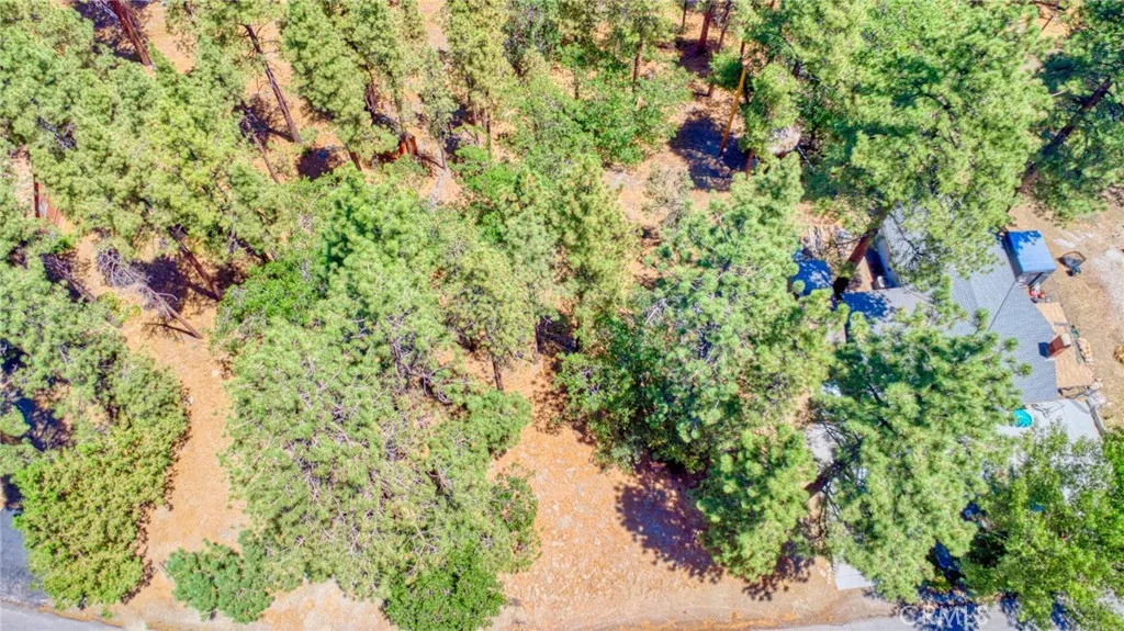 0 Oriole Road Wrightwood, CA 92397 - Photo 9 of 12 a view of a forest