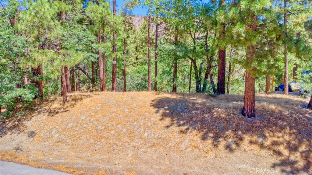 0 Oriole Road Wrightwood, CA 92397 - Photo 10 of 12 a view of a yard with trees