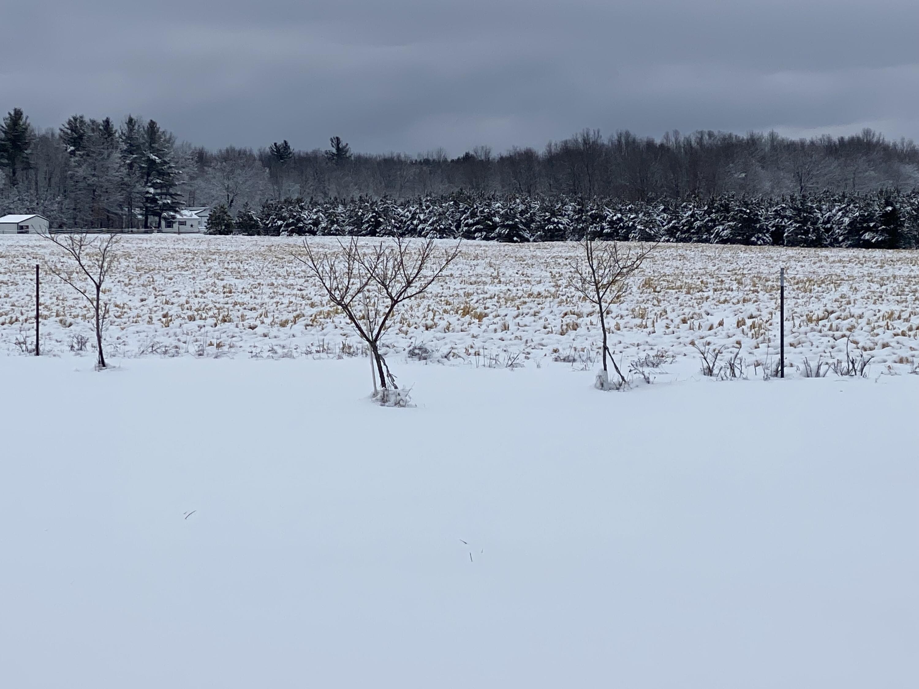 40 East Wilke Road Rothbury, MI 49452 - Photo 12 of 43 40 E Wilke Road