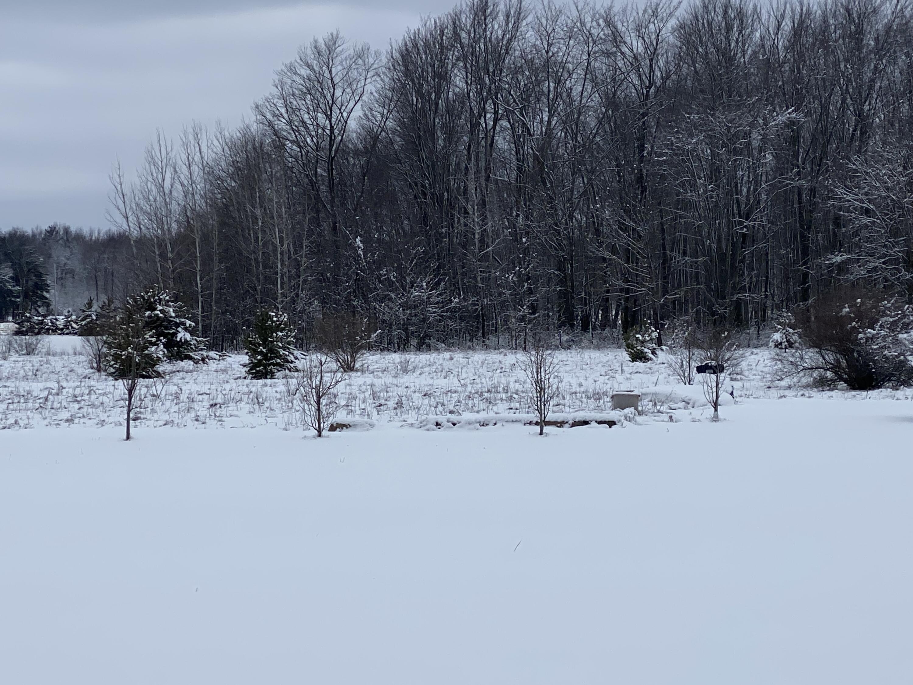 40 East Wilke Road Rothbury, MI 49452 - Photo 13 of 43 40 E Wilke Road