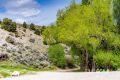 1090 West Cherry Crk Road Ely, NV 89301 - Photo 19 of 28
