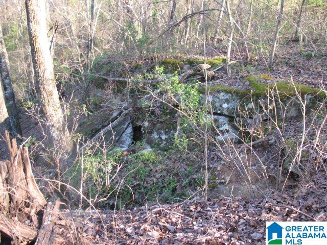 0 Brothers Road, Unit 1 Steele, AL 35987 - Photo 14 of 14