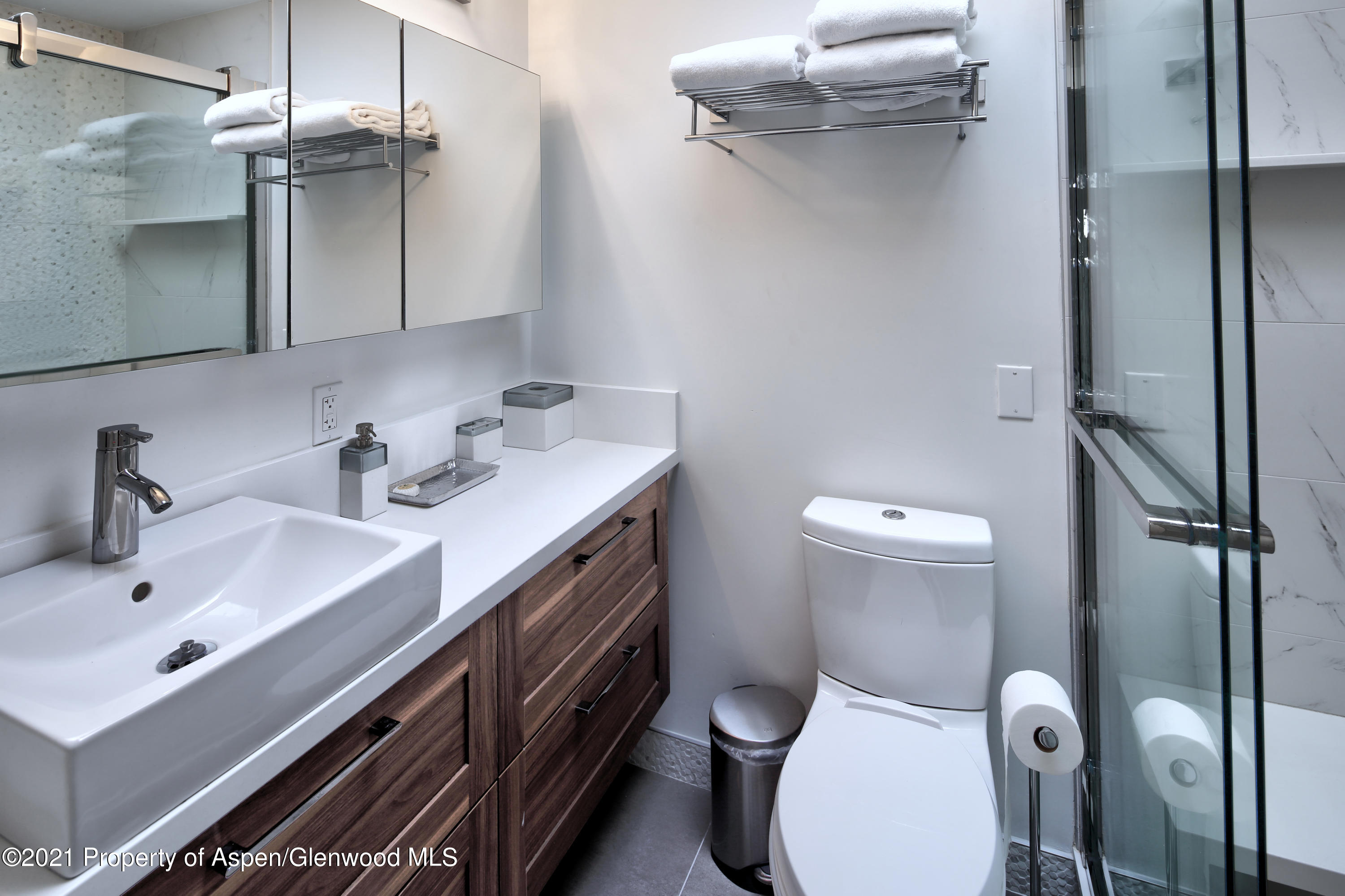 803 East Durant Avenue, Unit 7 Aspen, CO 81611 - Photo 5 of 7 e1And1more_Balancer