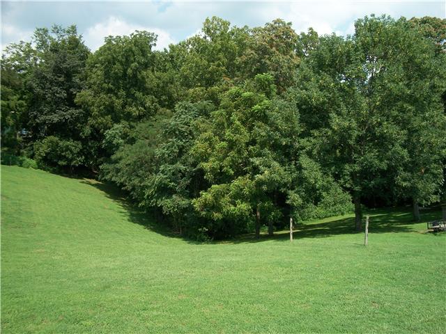1005 Riverview Road Mount Juliet, TN 37122 - Photo 7 of 18 View of backyard. You have over an acre to roam on.