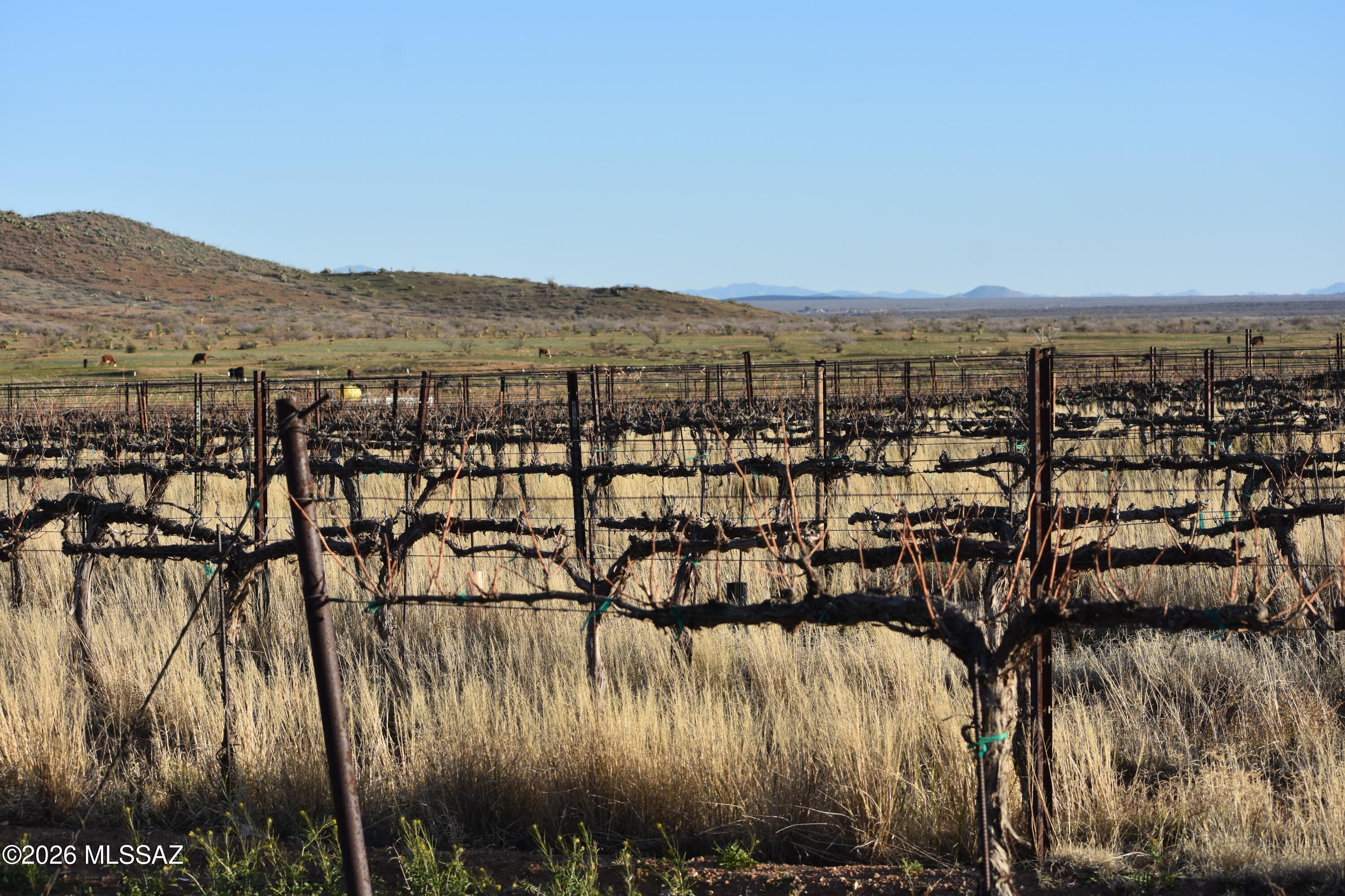 East Howling Wolf Road Willcox, AZ 85643 - Photo 47 of 49
