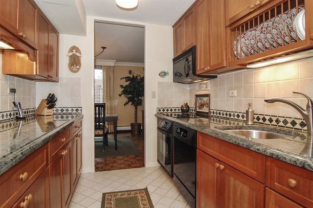 1310 North Ritchie Court, Unit 14C Chicago, IL 60610 - Photo 14 of 22 a kitchen with granite countertop a sink a stove and cabinets