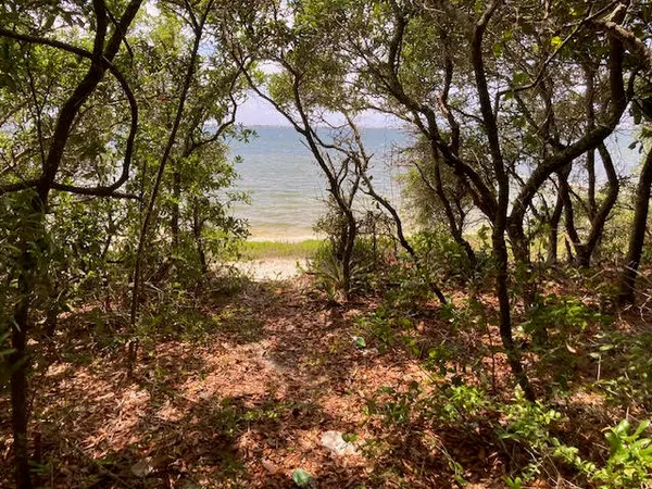 a view of lake from a tree