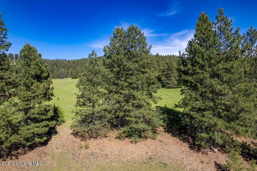 Nka Waddell Road St. Maries, ID 83861 - Photo 9 of 22 009-nkanextto1312WaddellRoad-SaintMaries