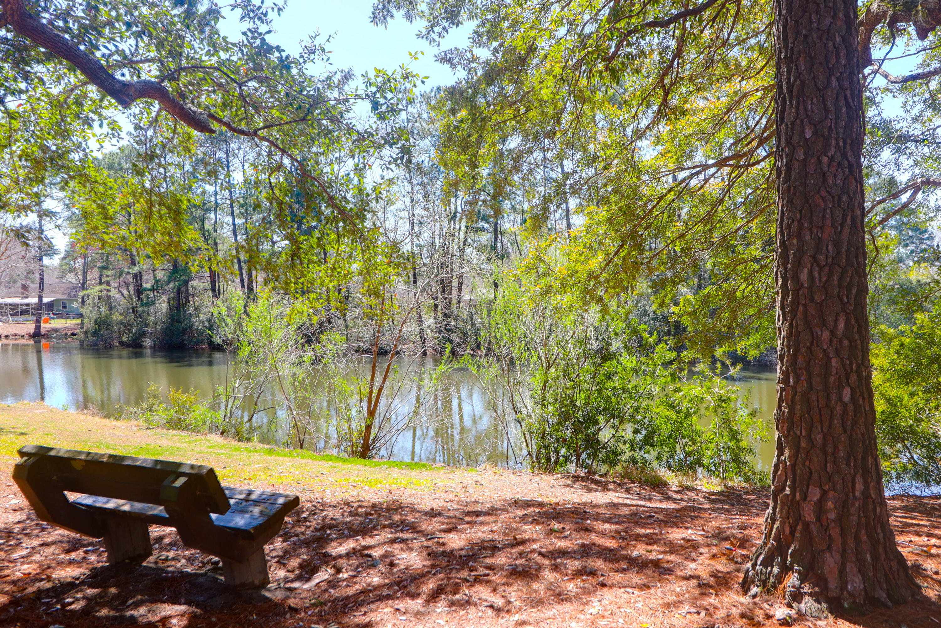 8340 Greenridge Road North Charleston, SC 29406 - Photo 32 of 58 8340 Greenridge Rd -Tidalcreekphoto- (7)