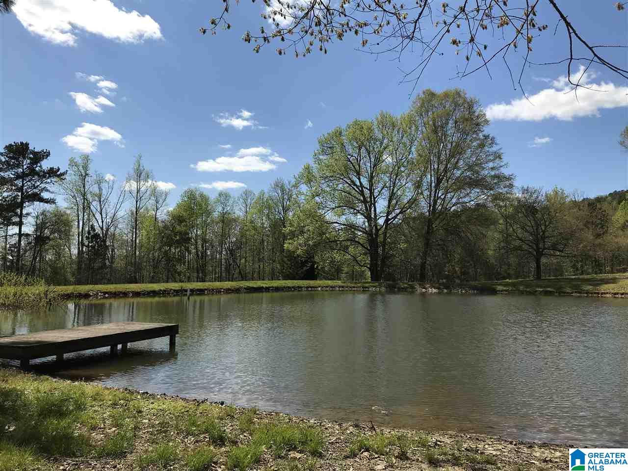 346 Hunters Lane Vandiver, AL 35176 - Photo 4 of 38