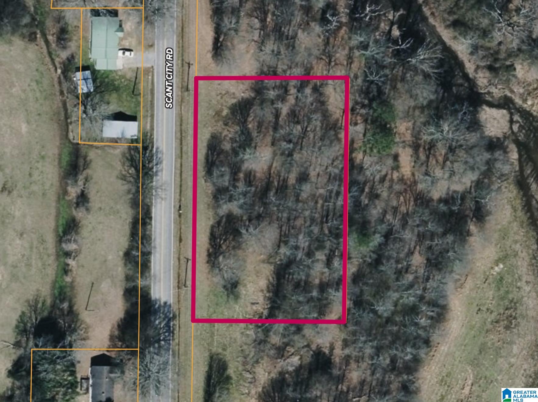 0 Eddy Scant City Road Guntersville, AL 35976 - Photo 3 of 13