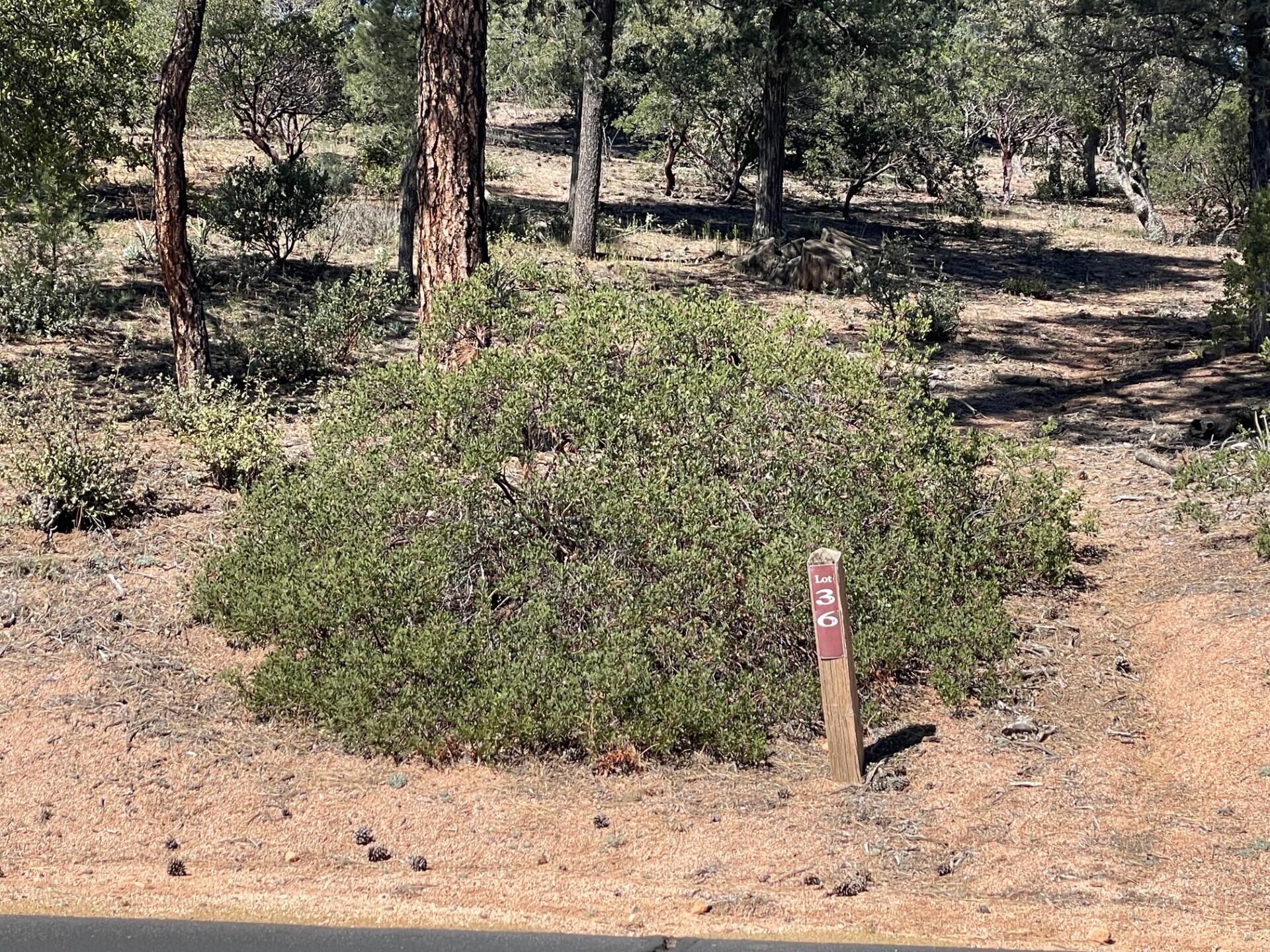210 South Rim Club Drive Payson, AZ 85541 - Photo 19 of 19 a backyard of a house with a yard and outdoor seating