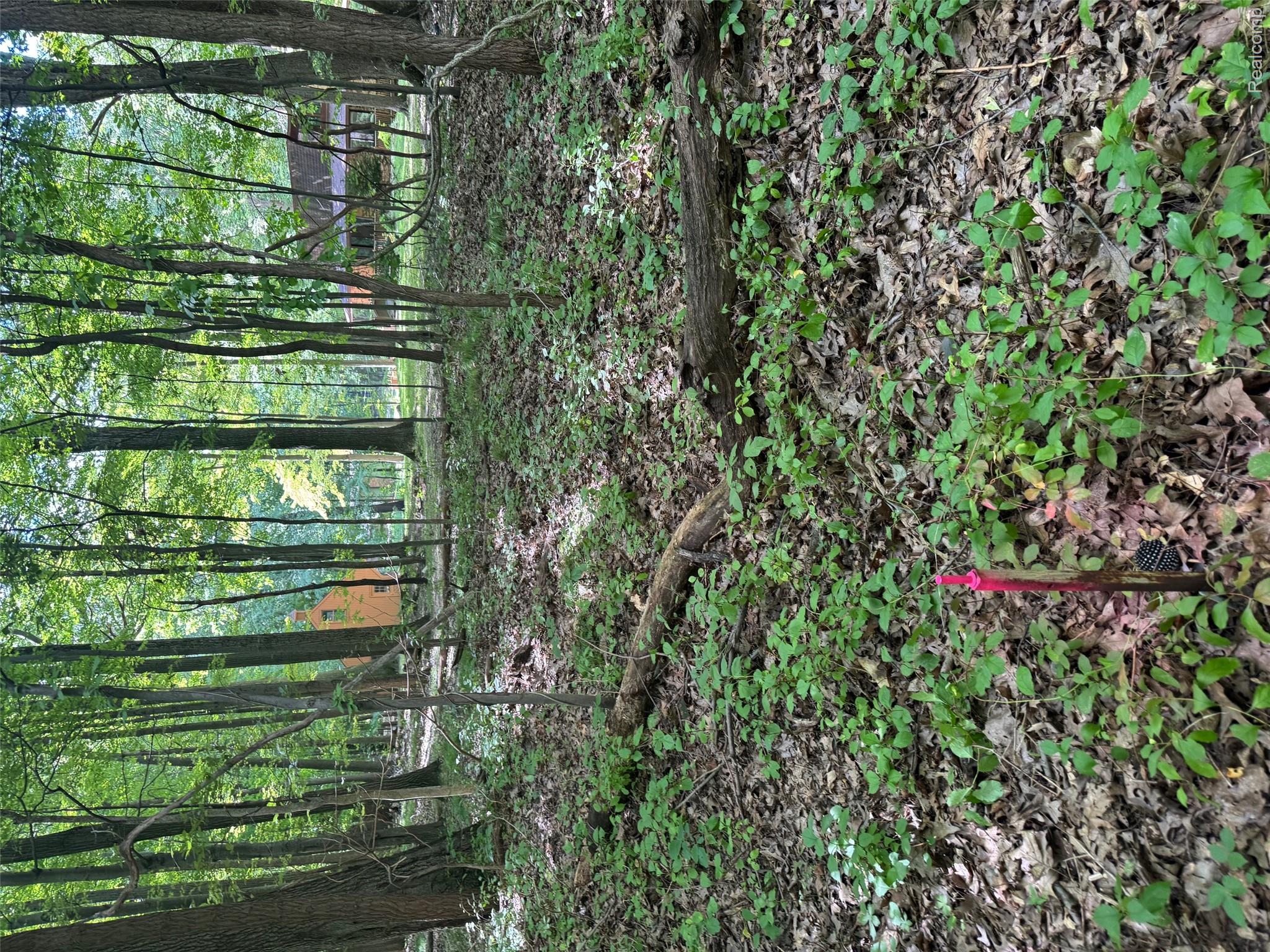 0 Baldwin Road Metamora, MI 48455 - Photo 17 of 23 IMG_7307.jpg