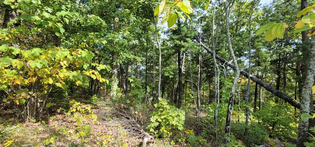 97 Shell Mountain Road Sevierville, TN 37876 - Photo 10 of 14