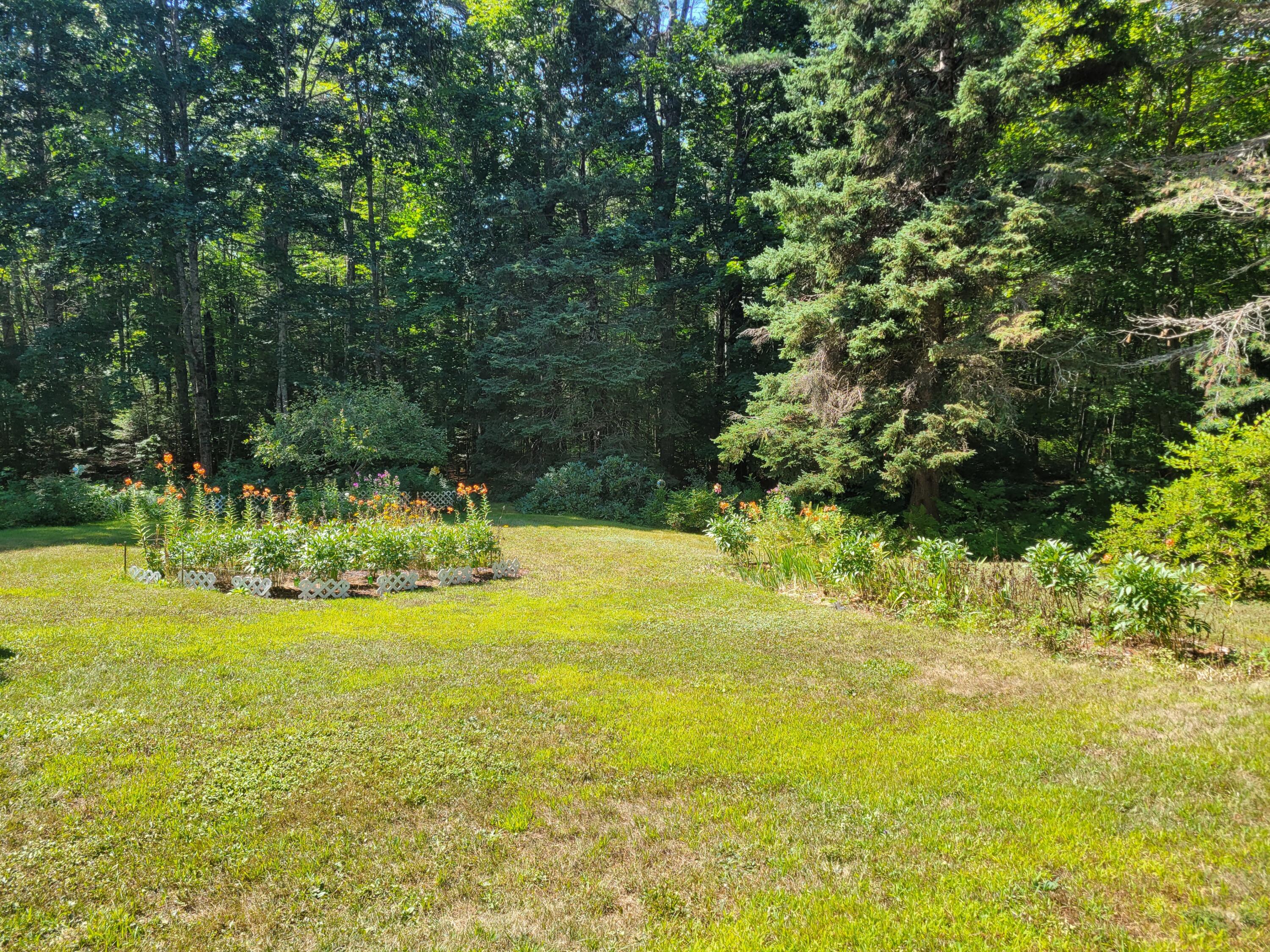 159 Hog Bay Road Franklin, ME 04634 - Photo 7 of 39 20220820_113024