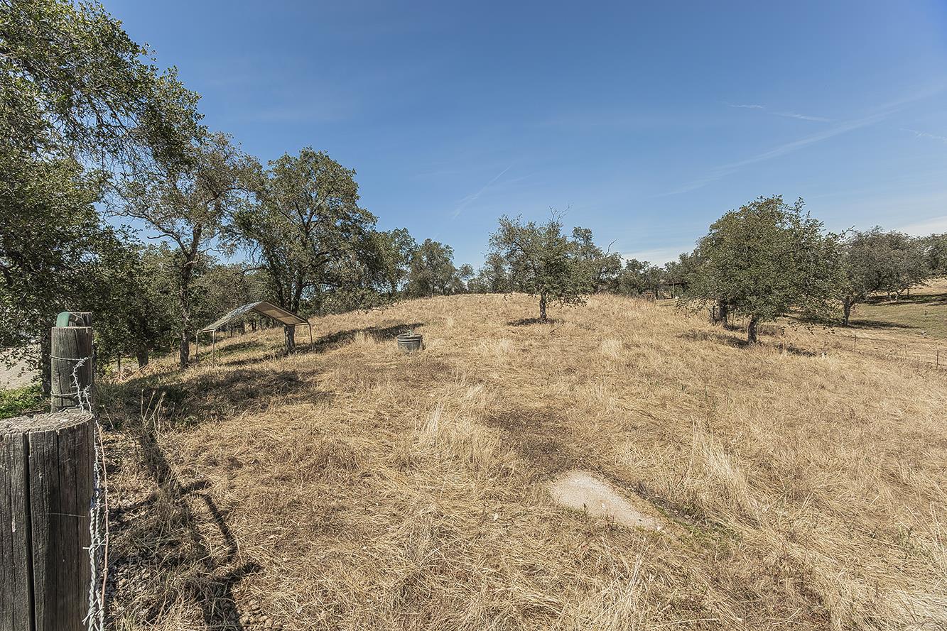 14815 Garlock Lane Prather, CA 93651 - Photo 53 of 80 a view of a yard with trees in the background