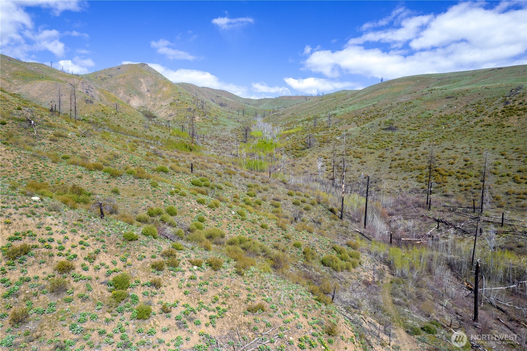 8 Myer Creek Road Twisp, WA 98856 - Photo 20 of 31 Gallery Image 20