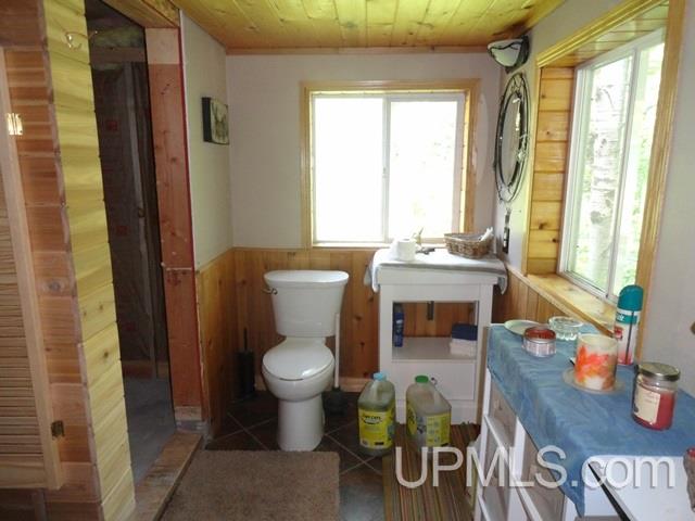 N7680 Dunham Road Wakefield, MI 49968 - Photo 25 of 45