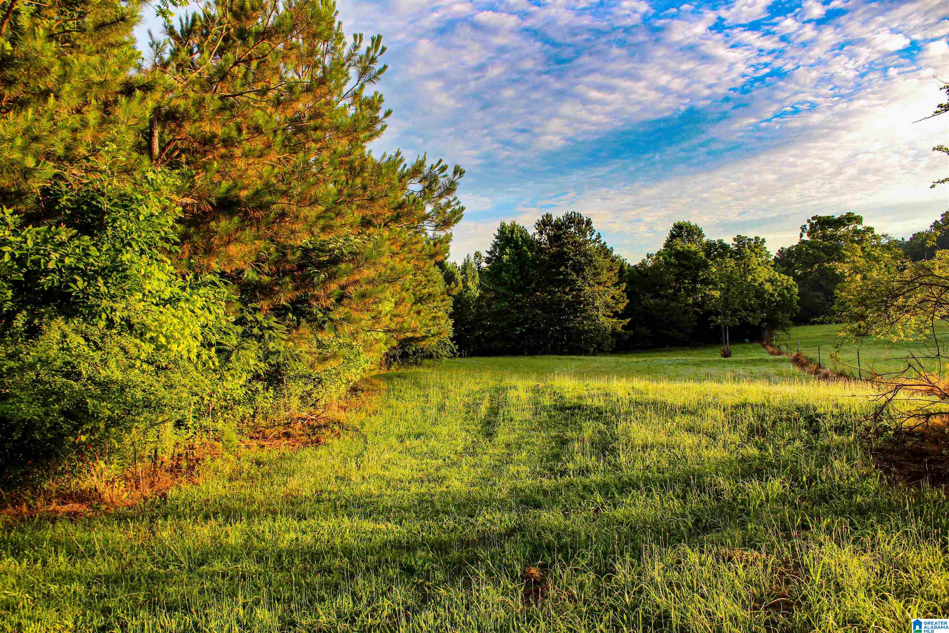 2211 Gurley Road, Unit 1 Trafford, AL 35172 - Photo 14 of 39