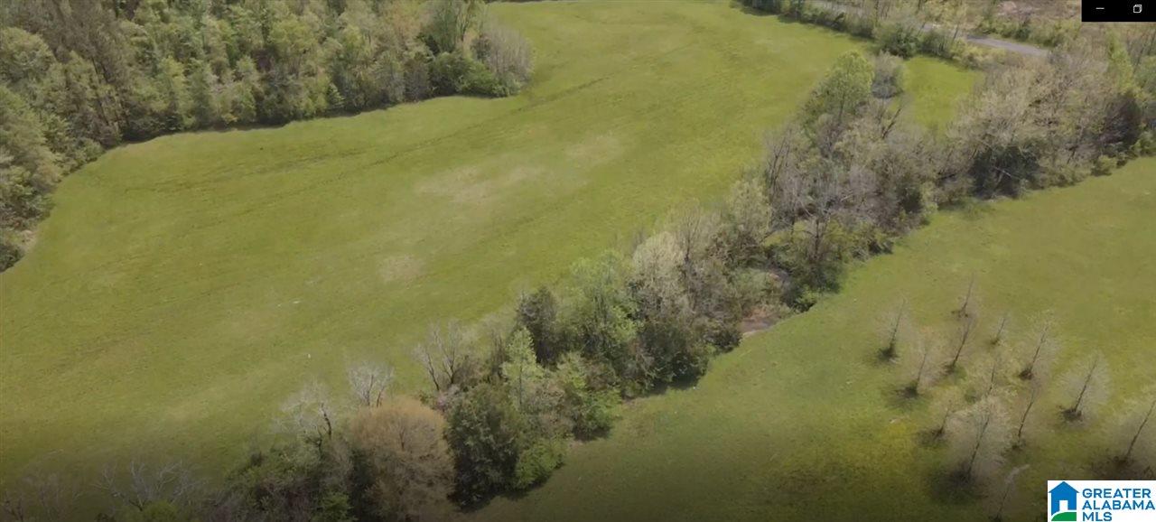 1391 Holland Finley Road Jacksonville, AL 36265 - Photo 5 of 40