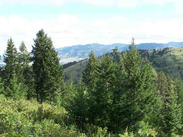 0 Rifle Road Bozeman, MT 59715 - Photo 1 of 1 Gallery Image 1