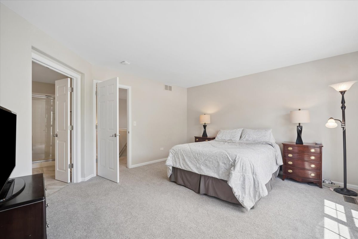 294 Larsdotter Lane Geneva, IL 60134 - Photo 15 of 28