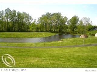 3632 Six Mile Road South Lyon, MI 48178 - Photo 6 of 22 beautiful stocked pond.jpg