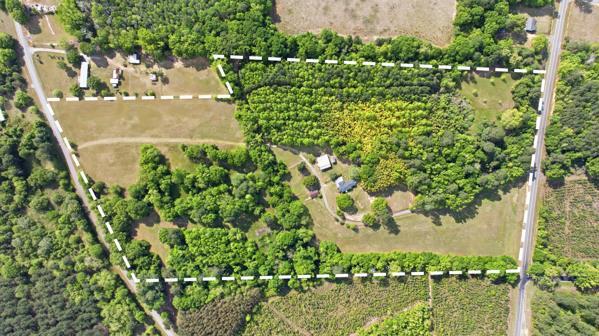 13139 Char-Augusta Road Denmark, SC 29042 - Photo 38 of 42 DJI_20260407114035_0054_D