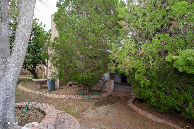 a view of a street with potted plants and large trees
