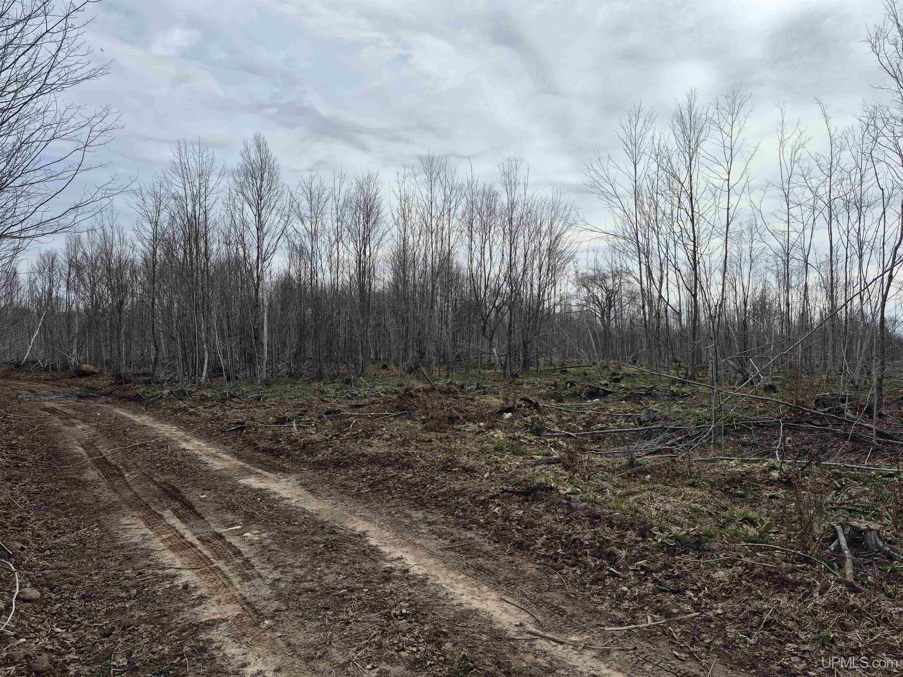 East 20 Quarry Road Gulliver, MI 49840 - Photo 7 of 47