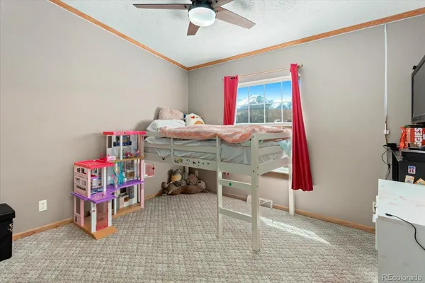 $539,000 | 26388 Bassam Circle, Buena Vista, CO 81211