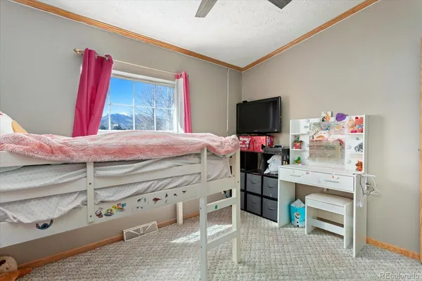 $539,000 | 26388 Bassam Circle, Buena Vista, CO 81211