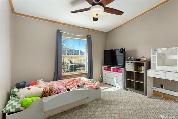 $539,000 | 26388 Bassam Circle, Buena Vista, CO 81211