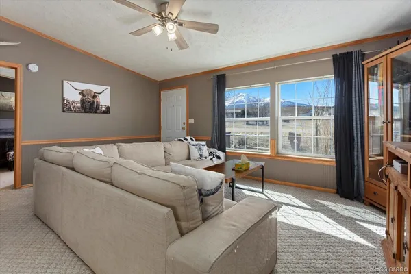 $519,000 | 26388 Bassam Circle, Buena Vista, CO 81211