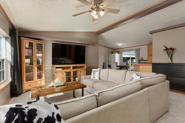 $519,000 | 26388 Bassam Circle, Buena Vista, CO 81211