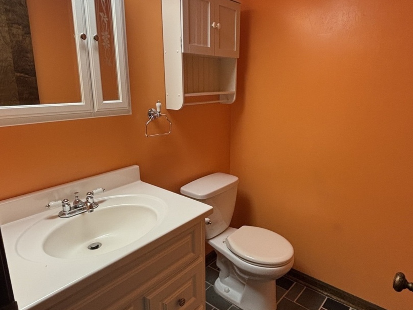 4705 Elm Street Lisle, IL 60532 - Photo 18 of 20 a bathroom with a sink mirror and toilet