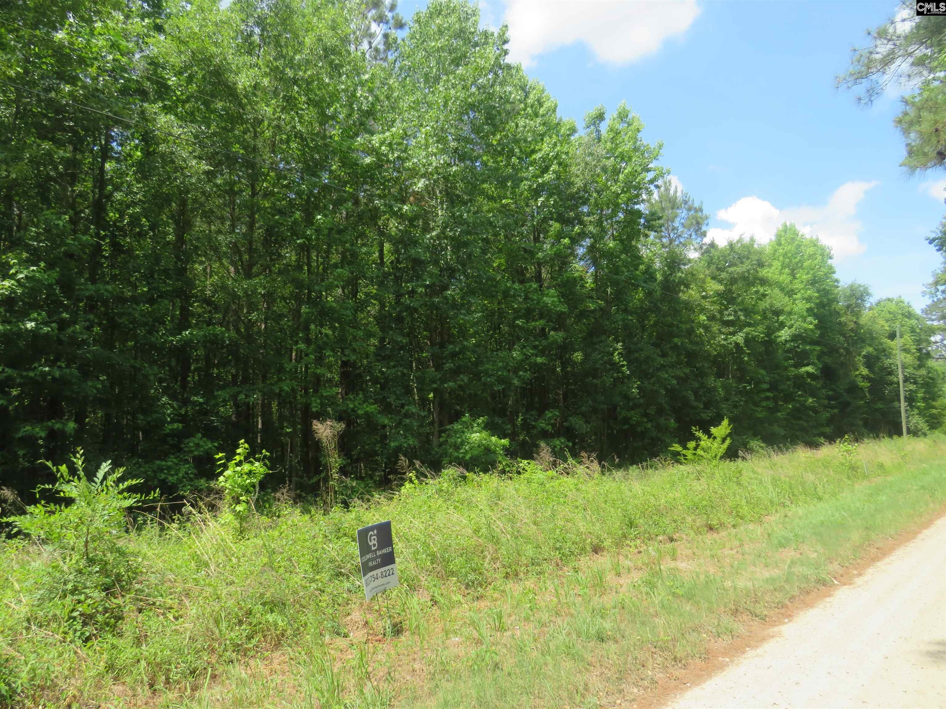 Old Eastover Road Eastover, SC 29044 - Photo 10 of 13