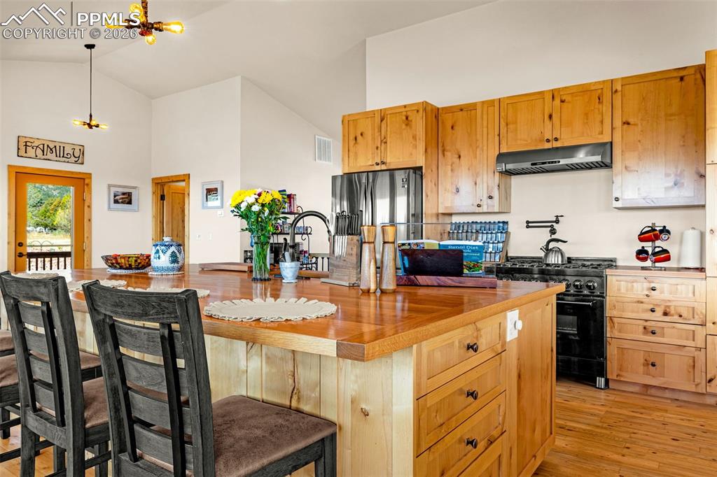 8480 Delaware Road Colorado Springs, CO 80926 - Photo 2 of 49 Kitchen with commercial grade gas stove