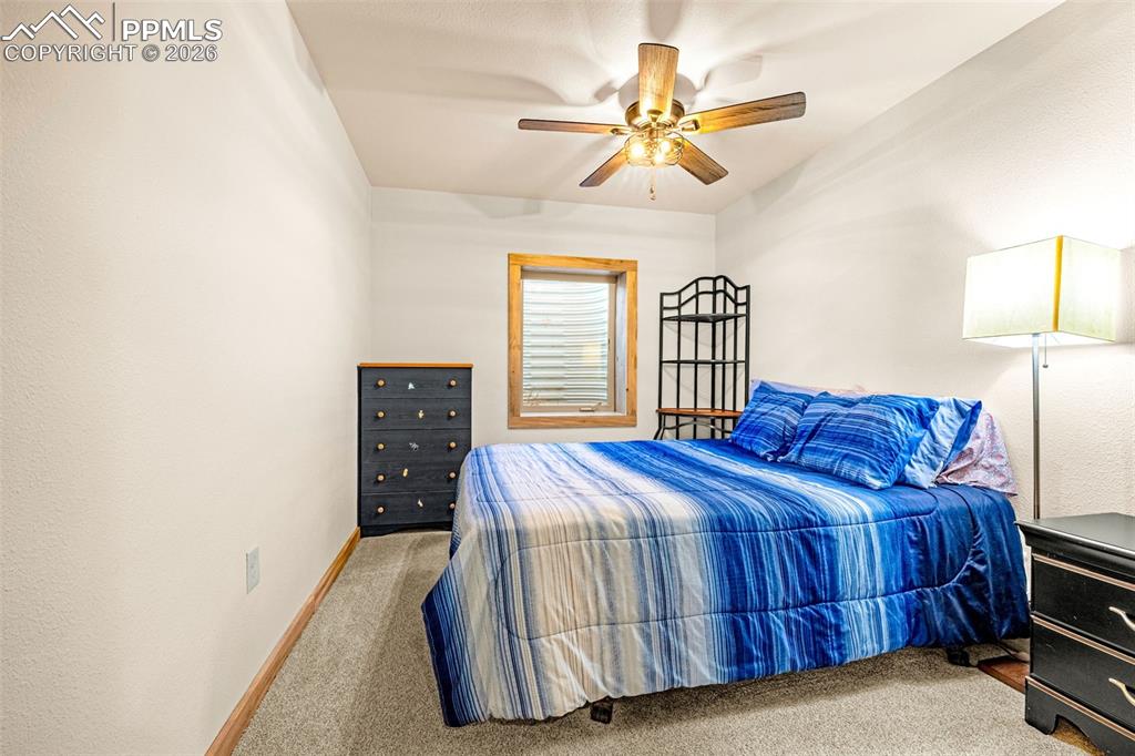 8480 Delaware Road Colorado Springs, CO 80926 - Photo 23 of 49 Basement bedroom with closet