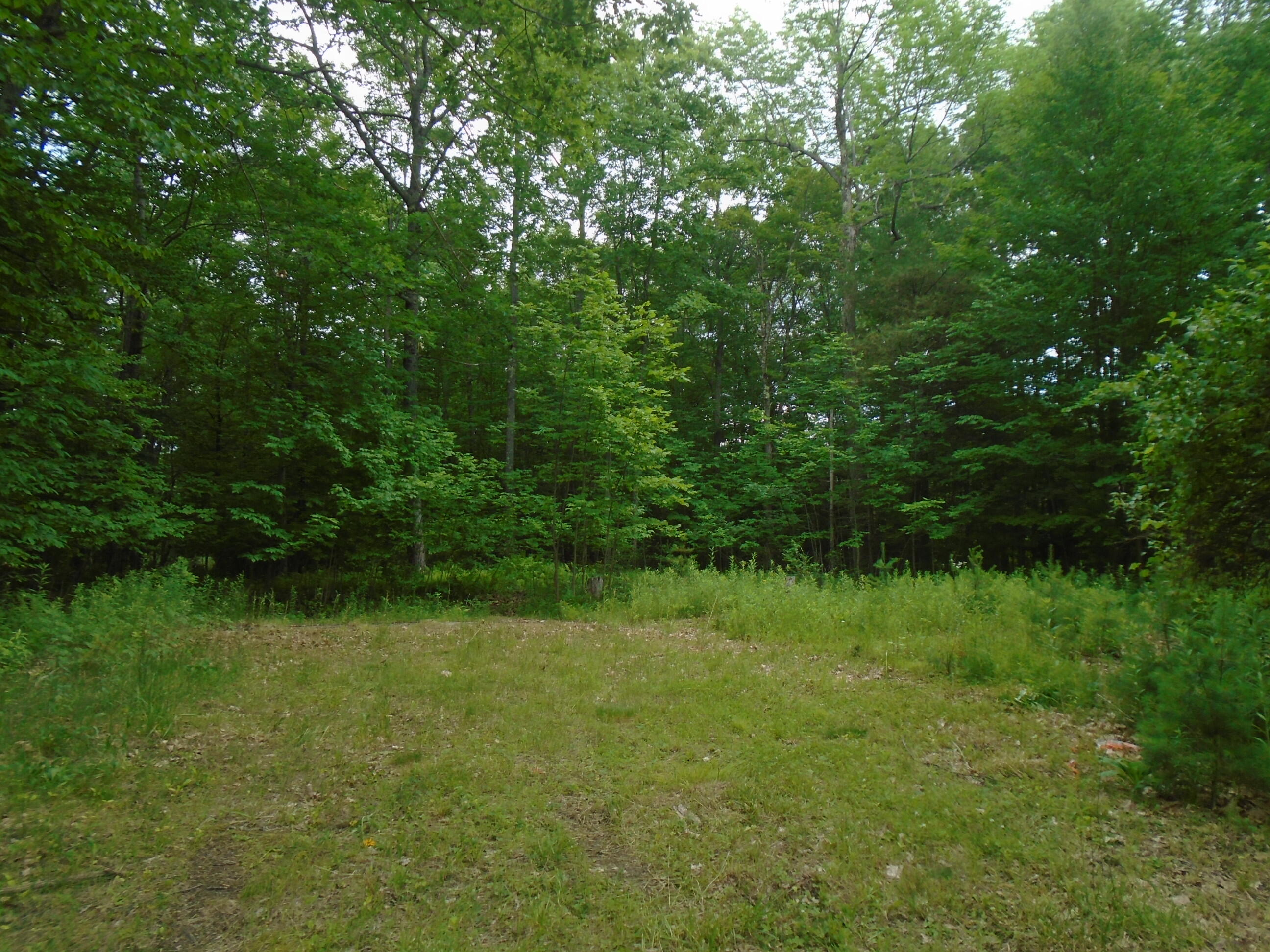 Lot 40 Snow Pond Road Oakland, ME 04963 - Photo 3 of 11 Lot