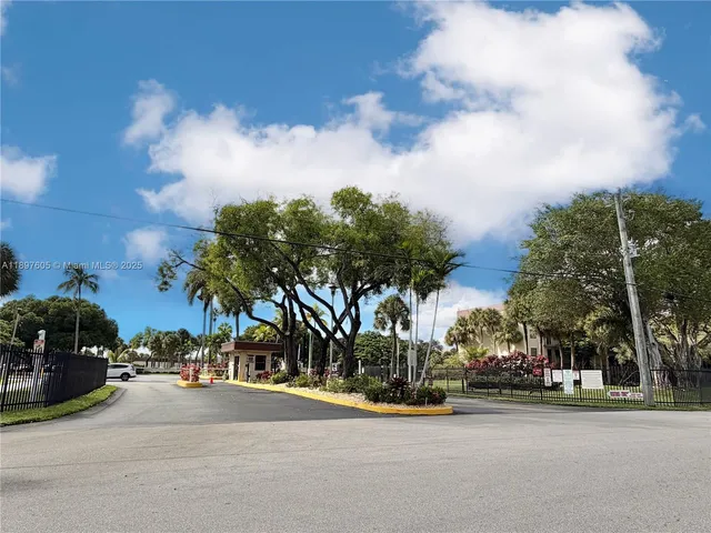 a view of a yard with plants and large trees