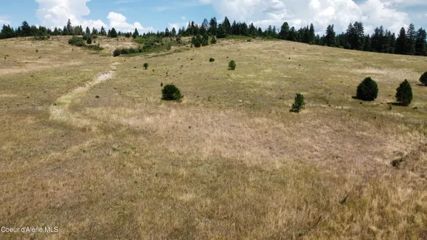 $400,000 | Nka East Coon Creek Road, St. Maries, ID 83861