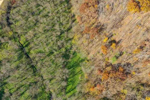 $499,000 | 0 265th Avenue, Maiden Rock, WI 54750