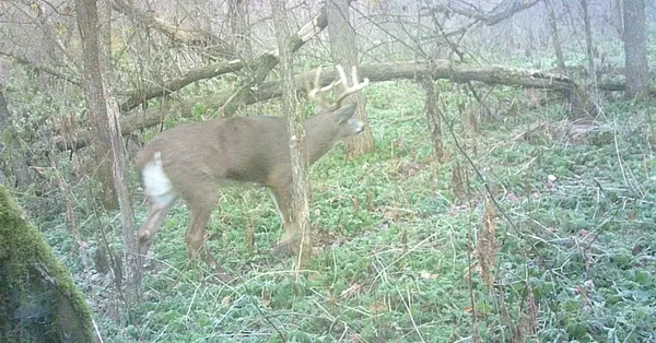 $499,000 | 0 265th Avenue, Maiden Rock, WI 54750