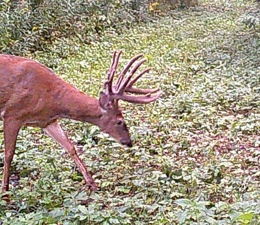 $499,000 | 0 265th Avenue, Maiden Rock, WI 54750