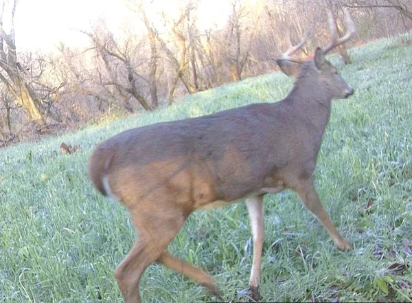 $499,000 | 0 265th Avenue, Maiden Rock, WI 54750