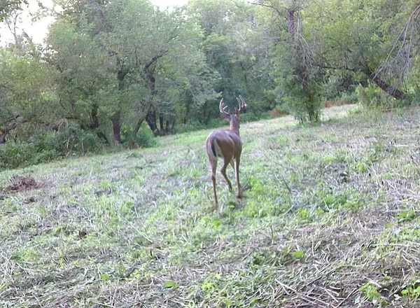 $499,000 | 0 265th Avenue, Maiden Rock, WI 54750