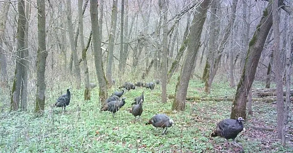 $499,000 | 0 265th Avenue, Maiden Rock, WI 54750